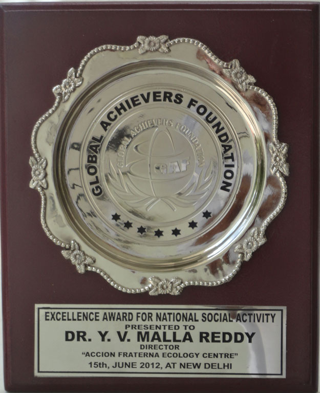 Global Achievers Foundation Award