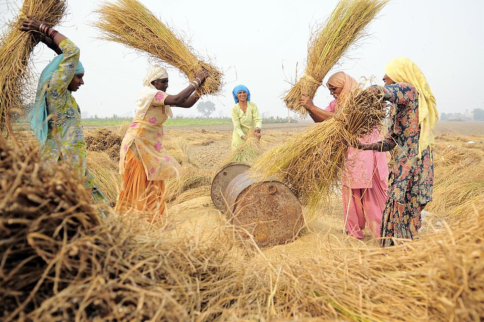 Farming