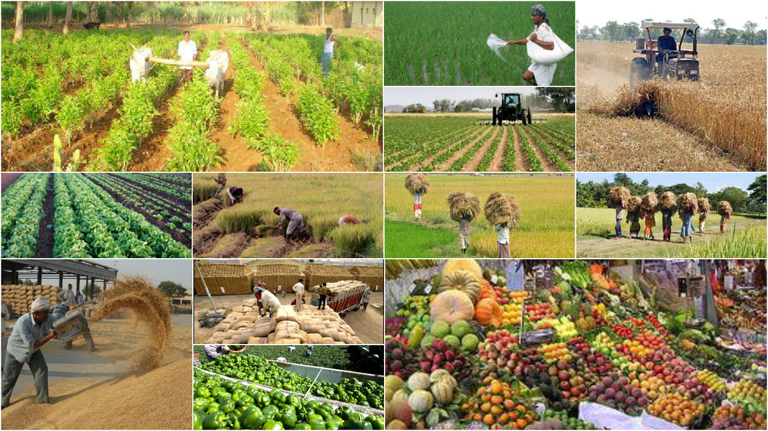 Agricultute
