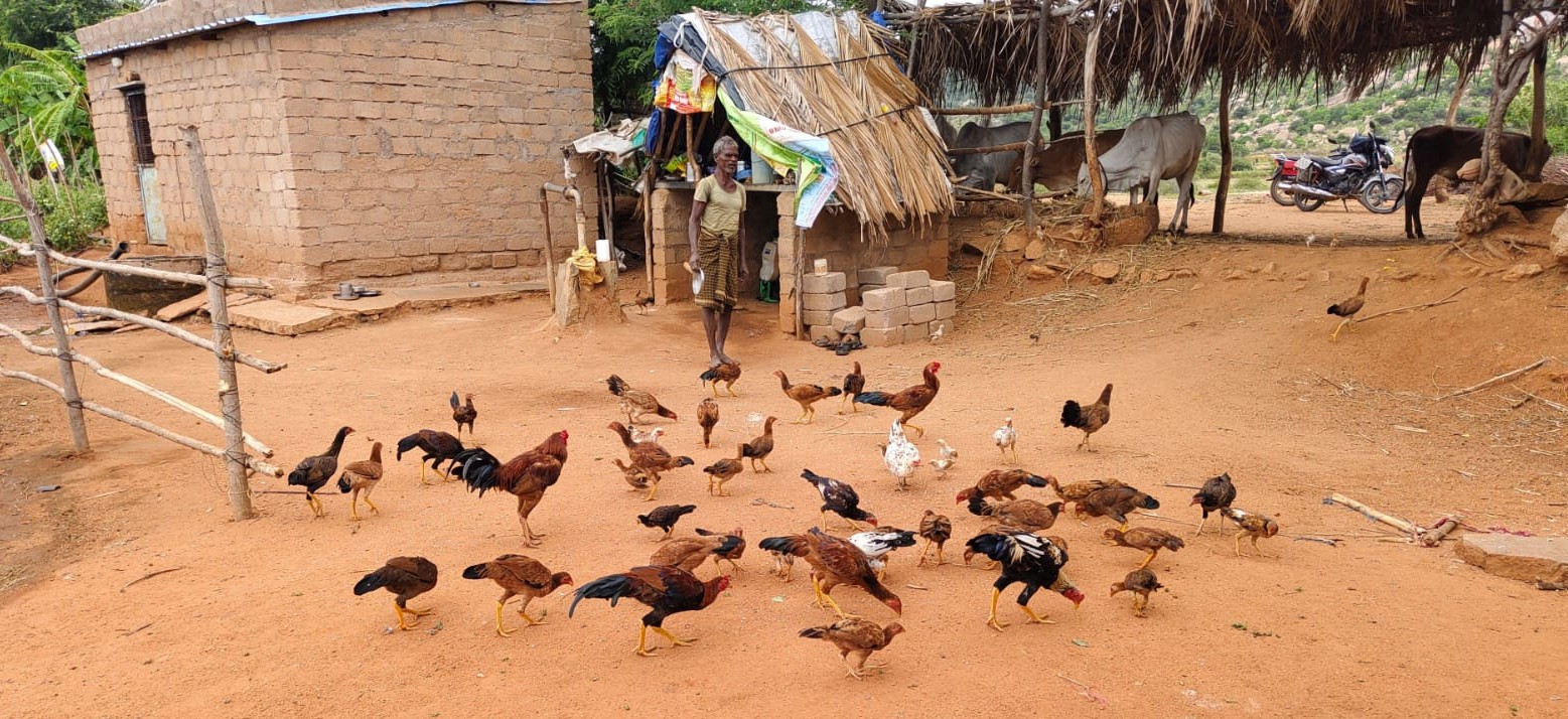 Alternative Livelihood Logo